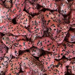 Dalmatian Dyed Red